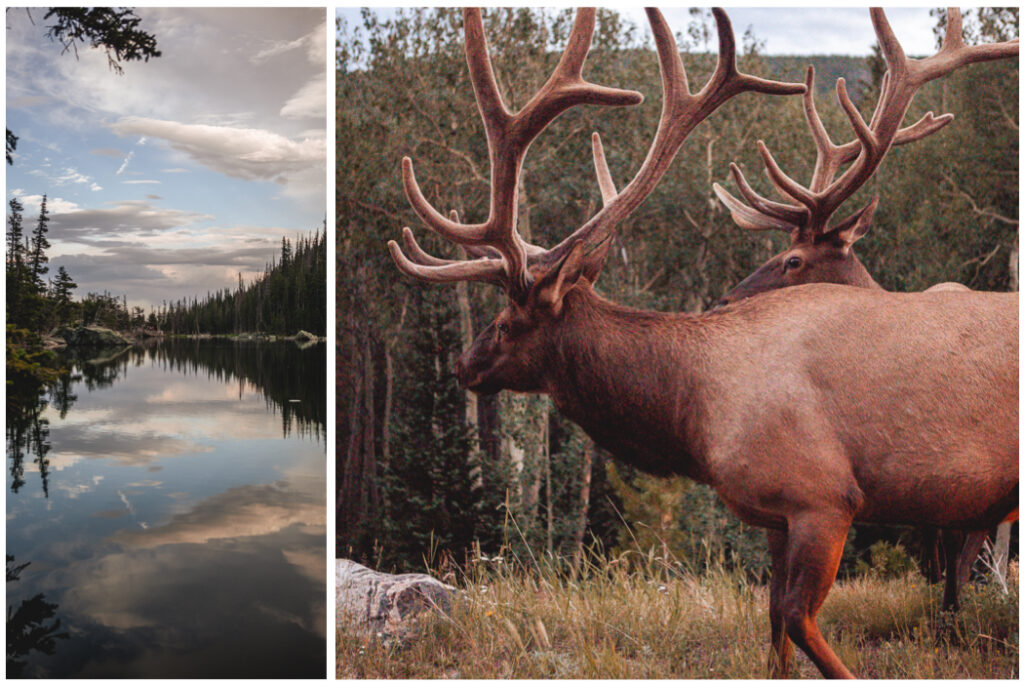 Rocky Mountain national park engagement